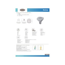 Chlorateur Salin Hydrogenic Lay-Z-Spa pour Spa 0,5 g/h Bestway 60340 | Piscineshorssolweb